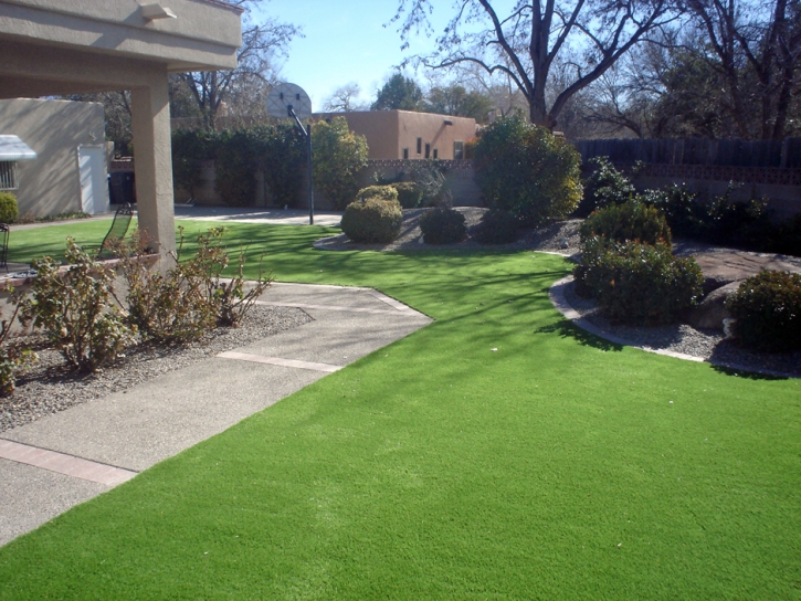 Fake Turf Goshen, California Rooftop, Front Yard Landscaping Ideas