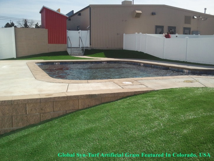 Fake Turf Kerman, California Landscaping, Natural Swimming Pools