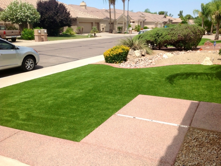 Fake Turf San Ramon, California Landscape Design, Landscaping Ideas For Front Yard