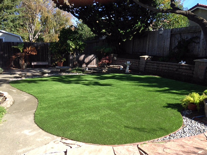 Fake Turf Santa Margarita, California Roof Top, Backyard Landscaping Ideas