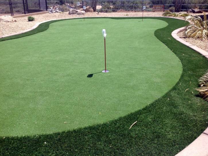 Fake Turf Terminous, California Putting Green, Beautiful Backyards