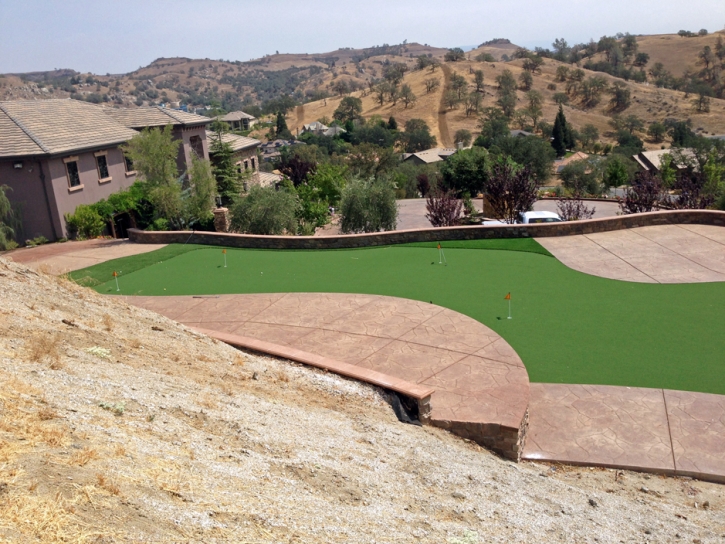 Fake Turf Wilkerson, California Office Putting Green, Backyard Landscaping Ideas