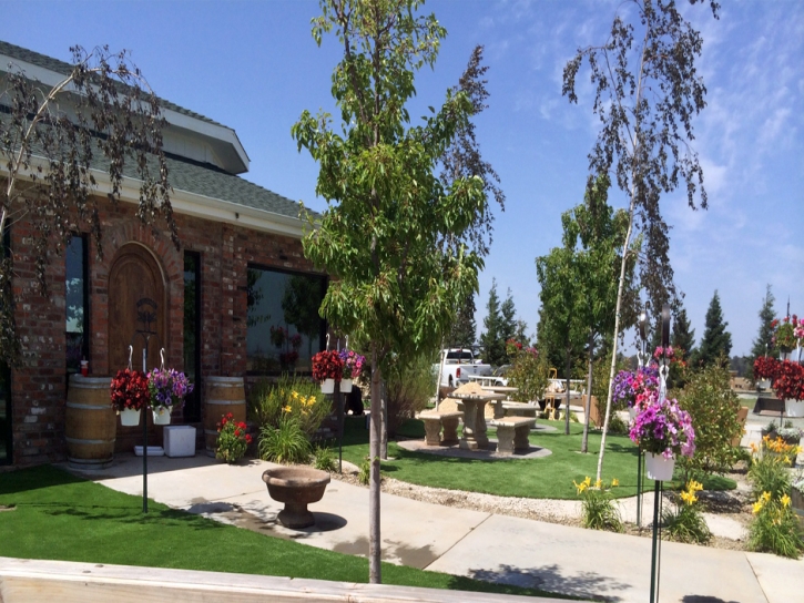 Faux Grass Bootjack, California Landscape Photos, Commercial Landscape