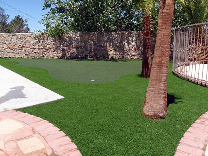 Faux Grass Coleville, California Putting Green Grass, Backyard Landscape Ideas