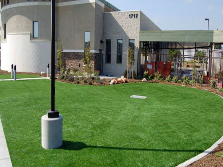 Faux Grass Discovery Bay, California Roof Top, Commercial Landscape