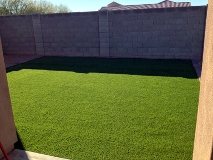 Faux Grass Dixon Lane-Meadow Creek, California Landscaping Business, Backyards