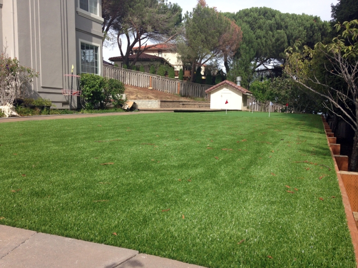 Faux Grass Dublin, California Landscaping, Backyard Garden Ideas