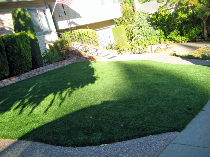 Faux Grass Laguna, California Garden Ideas, Front Yard