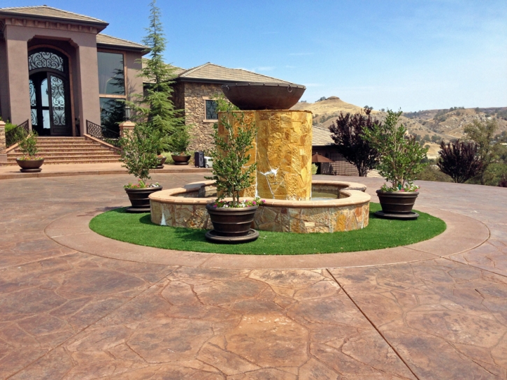 Grass Carpet Atherton, California City Landscape, Front Yard Landscaping