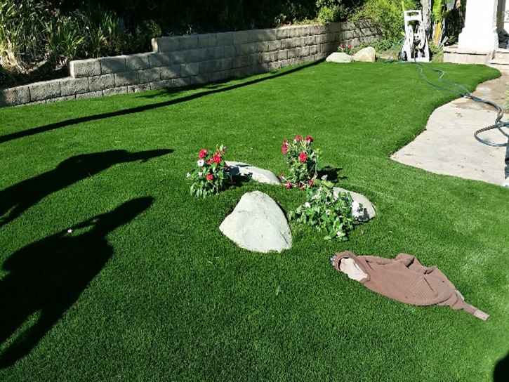 Grass Carpet Ben Lomond, California Landscape Ideas, Front Yard Design