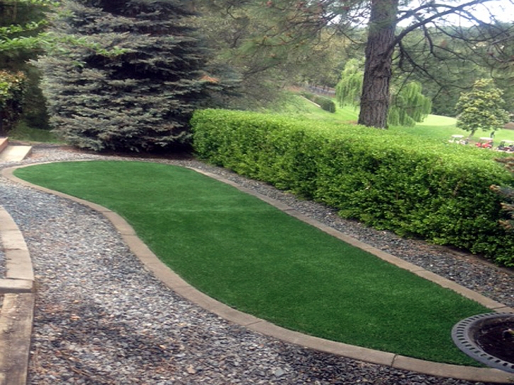 Grass Carpet Coarsegold, California Landscape Ideas