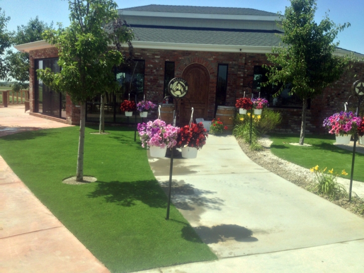 Grass Carpet Ducor, California Backyard Deck Ideas, Commercial Landscape