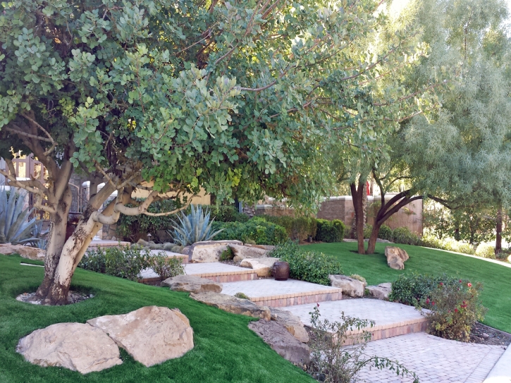 Grass Carpet Dustin Acres, California City Landscape, Backyard Designs