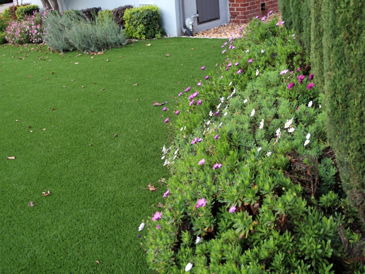 Grass Carpet Empire, California Rooftop, Front Yard Design