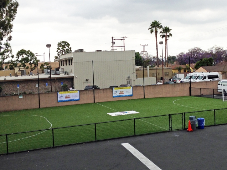 Grass Carpet Firebaugh, California Sports Turf, Commercial Landscape