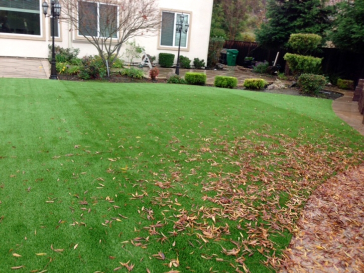 Grass Carpet Oakhurst, California Gardeners, Backyard Ideas