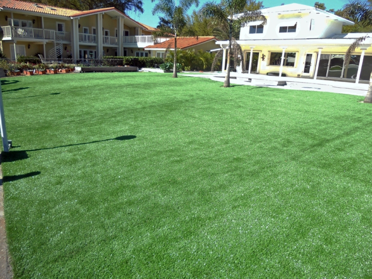 Grass Carpet San Martin, California Landscape Photos, Natural Swimming Pools