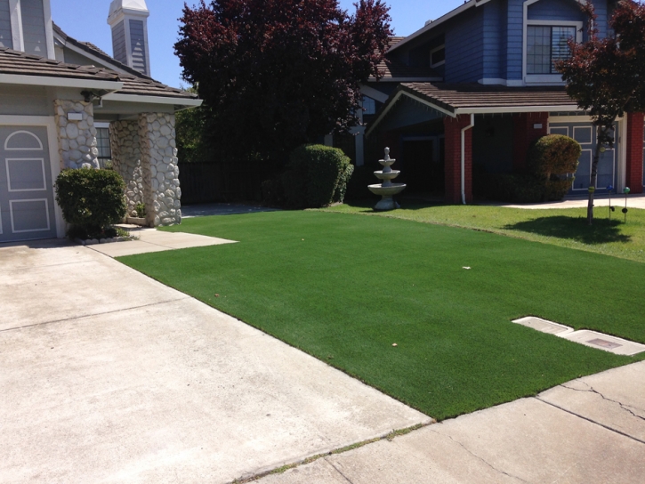 Grass Installation California Hot Springs, California Roof Top, Front Yard Ideas