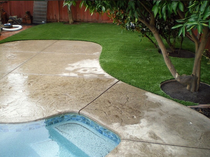 Grass Turf Atwater, California Landscape Photos, Small Backyard Ideas