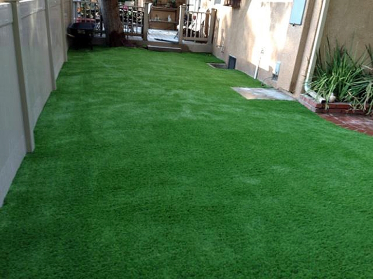 Grass Turf Cressey, California Lawn And Landscape, Backyard Design