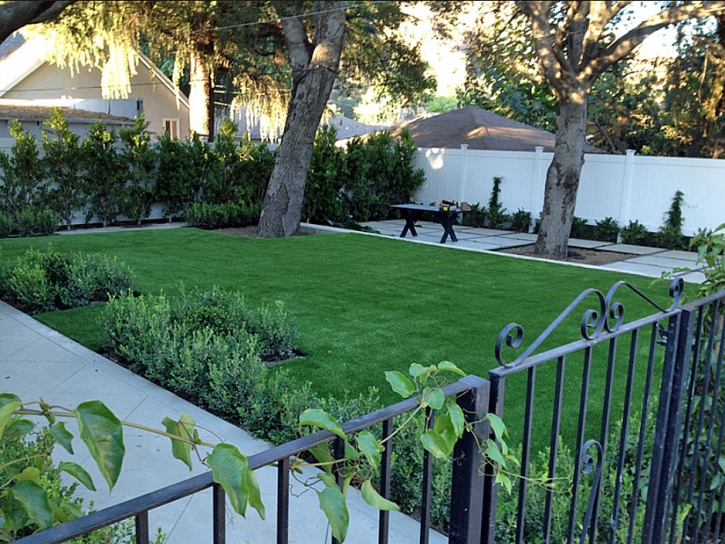 Grass Turf Crows Landing, California Garden Ideas, Small Front Yard Landscaping