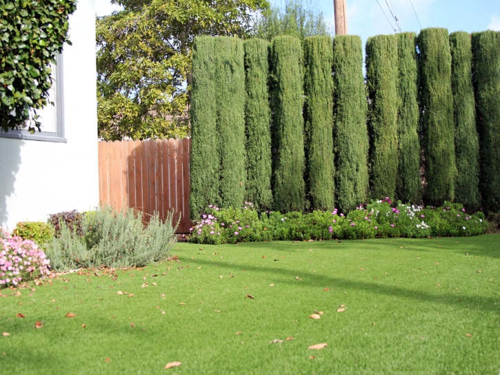 Grass Turf Greenfield, California Garden Ideas, Front Yard Landscaping Ideas