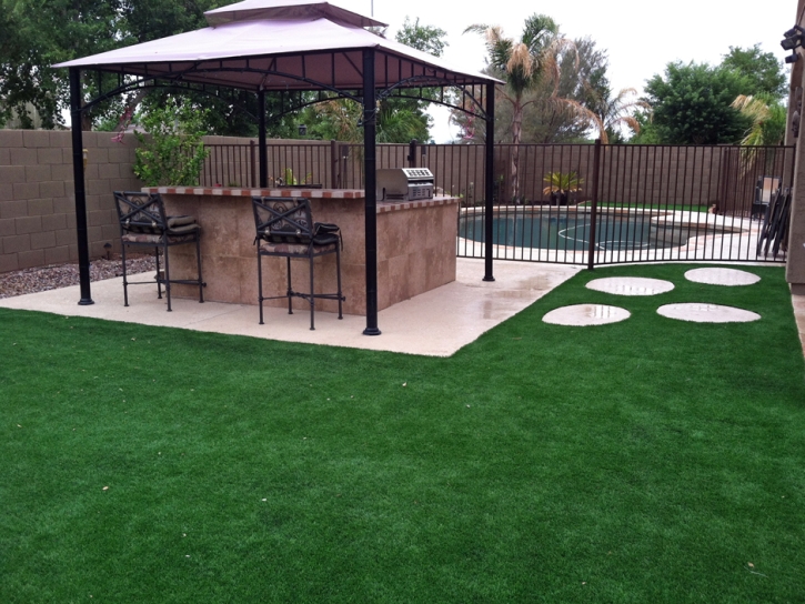 Grass Turf Hartland, California Landscaping Business, Backyard