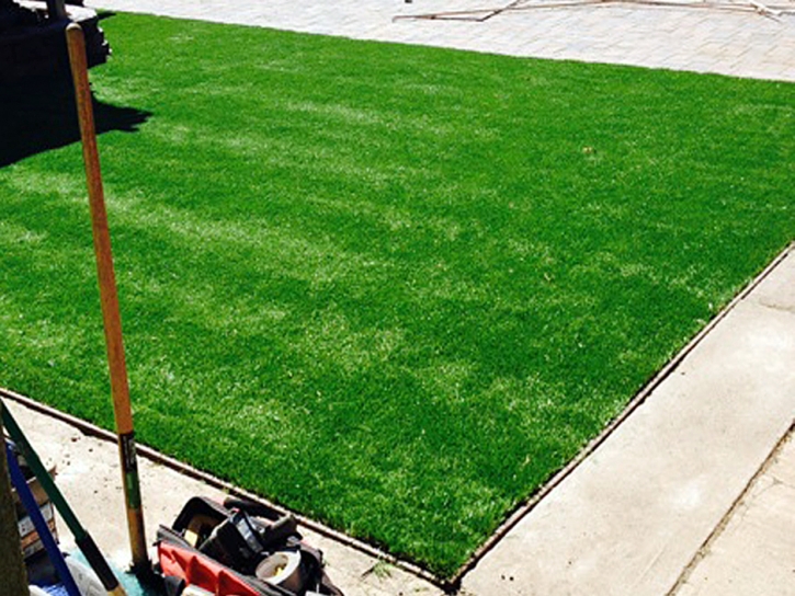 Grass Turf Mettler, California Landscape Ideas