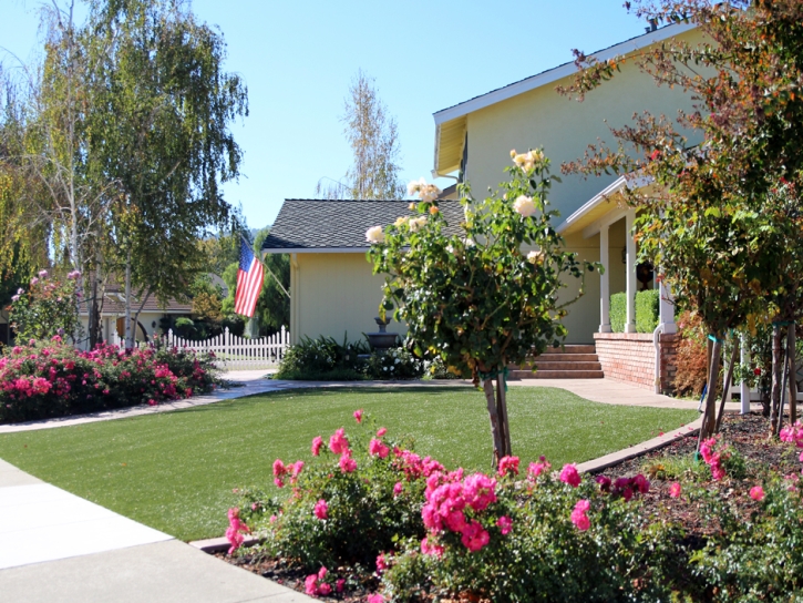 Grass Turf Orcutt, California Landscaping, Front Yard Design