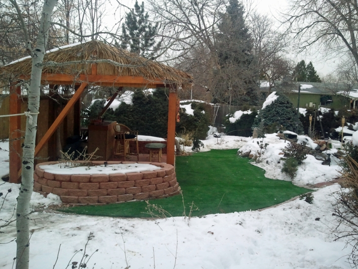 Grass Turf Peters, California Rooftop, Backyard Design