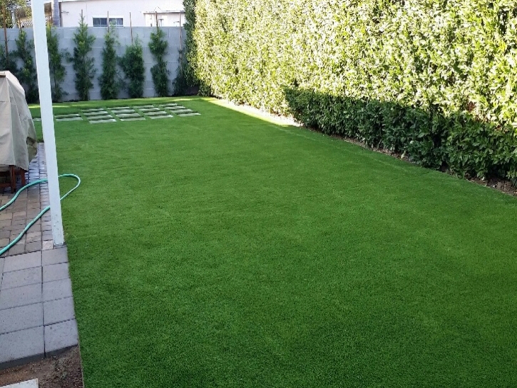 Grass Turf Pleasanton, California Pet Paradise, Backyard Landscaping