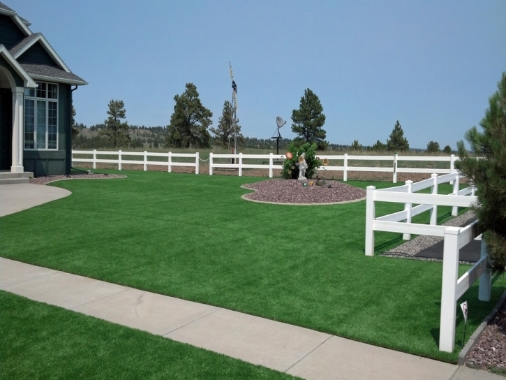 Grass Turf Sand City, California Landscape Photos, Backyard Makeover