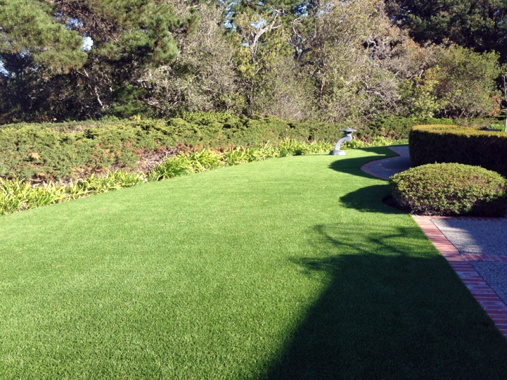 Grass Turf Westley, California City Landscape, Front Yard Design