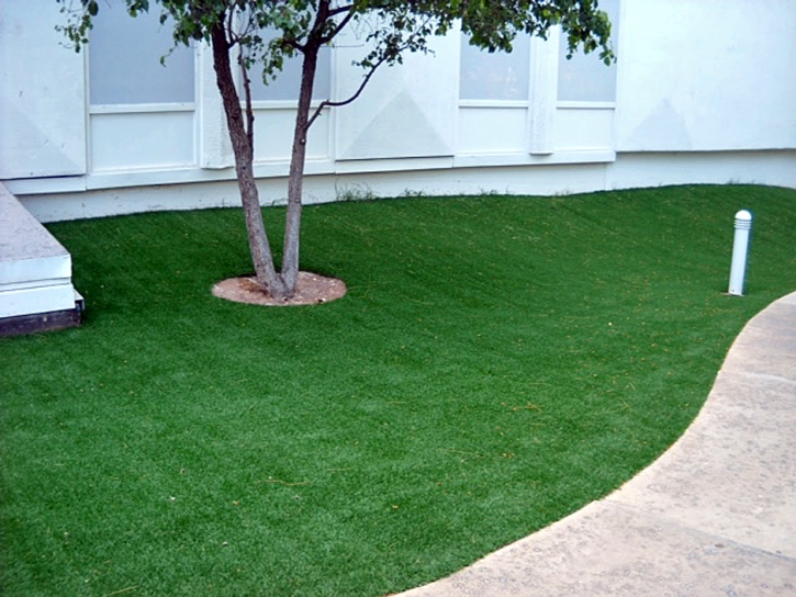 Green Lawn Biola, California Landscape Ideas, Commercial Landscape