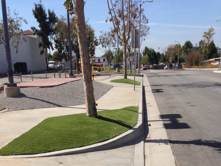 Green Lawn Corcoran, California Garden Ideas, Commercial Landscape