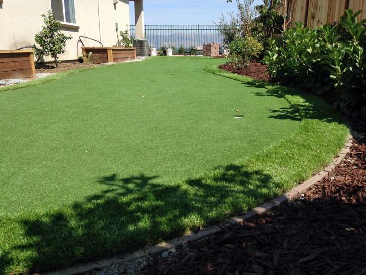 Installing Artificial Grass Aspen Springs, California Landscaping Business, Backyard Landscape Ideas