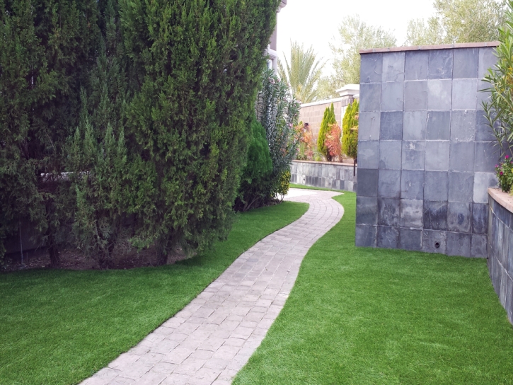 Installing Artificial Grass Cartago, California Landscape Photos, Commercial Landscape