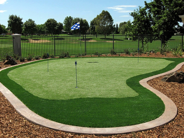 Lawn Services Camanche Village, California Diy Putting Green, Backyard Designs