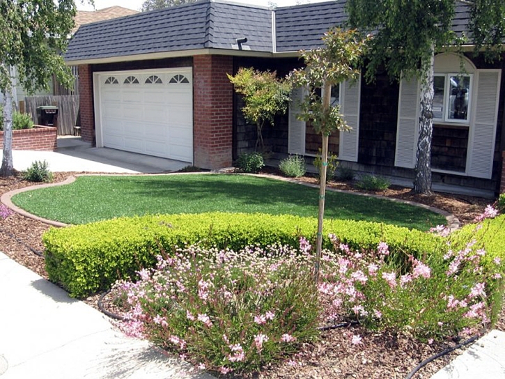 Lawn Services Escalon, California Lawn And Garden, Front Yard Landscaping Ideas