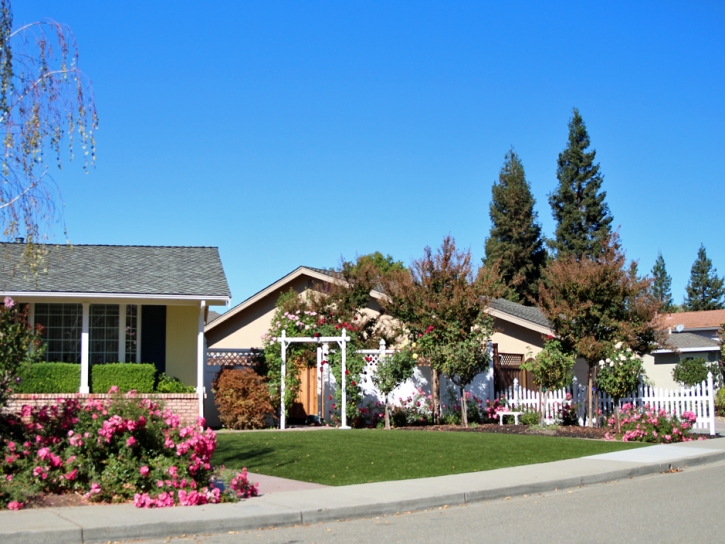 Lawn Services Hayward, California Lawn And Garden, Front Yard Design