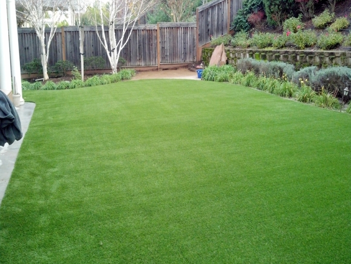 Lawn Services Pajaro, California Landscape Ideas, Backyard Landscaping