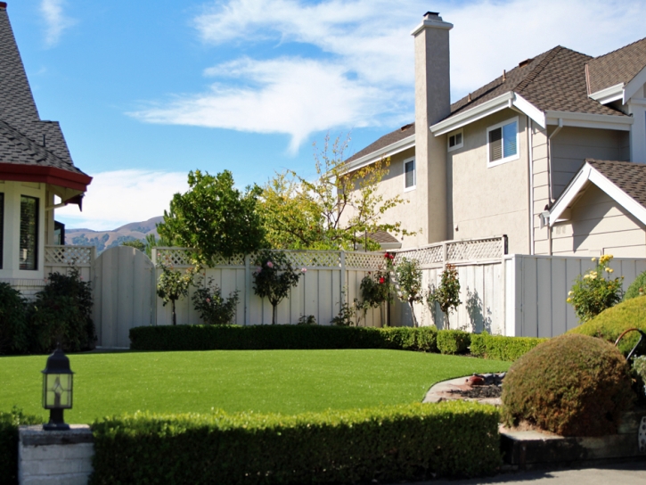 Lawn Services River Pines, California Roof Top, Front Yard Design