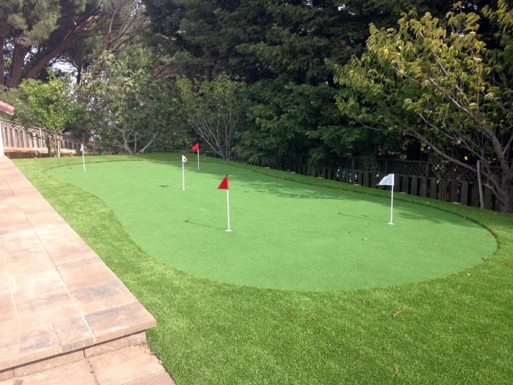 Lawn Services Thornton, California Indoor Putting Greens, Backyard Design