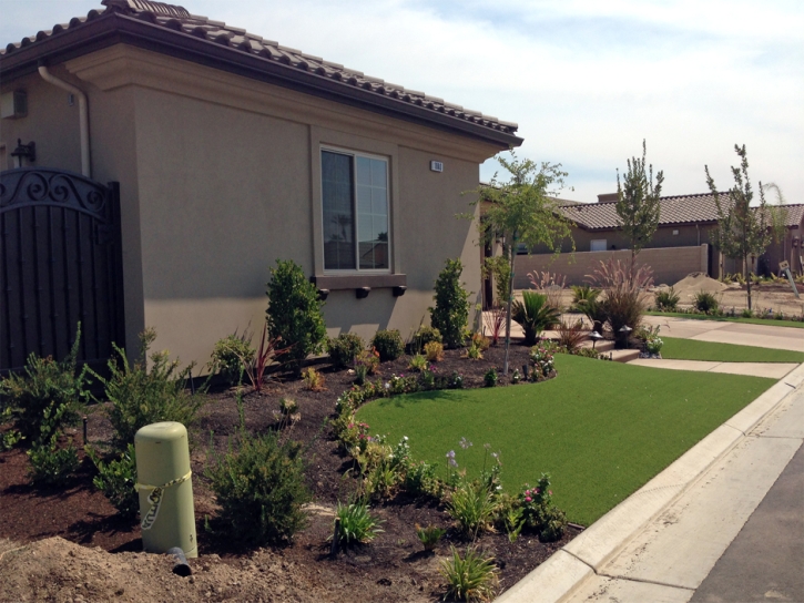 Outdoor Carpet Linden, California Landscape Design, Front Yard Landscaping