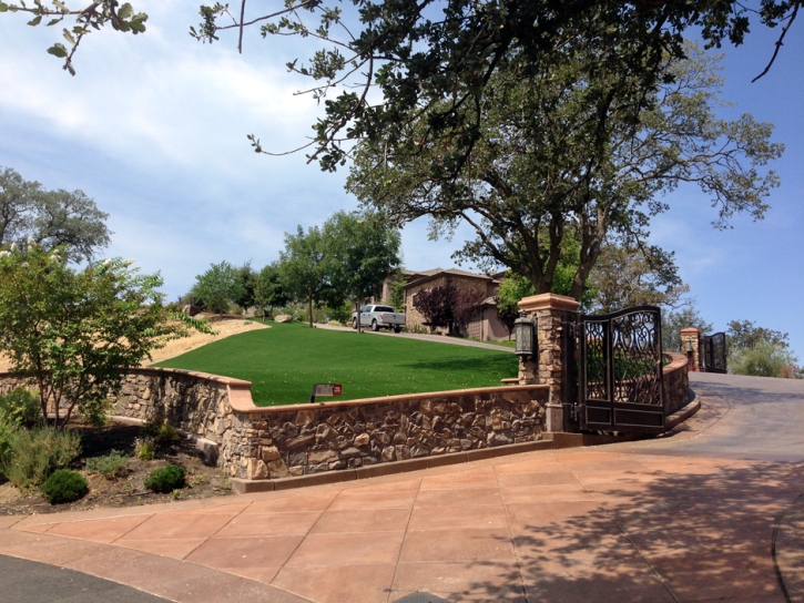 Outdoor Carpet Los Alamos, California Lawn And Landscape, Front Yard Landscape Ideas