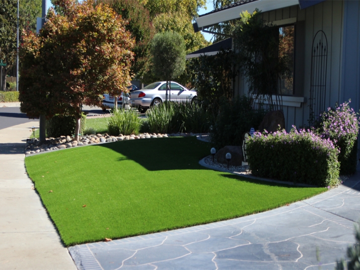 Outdoor Carpet Pine Mountain Club, California Design Ideas, Front Yard Landscaping