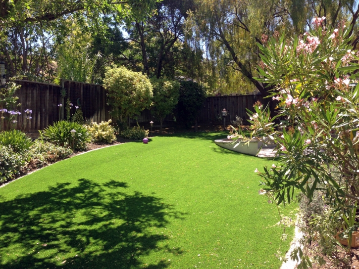 Outdoor Carpet Plainview, California Gardeners, Backyard Design