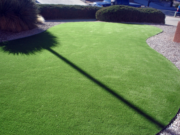 Outdoor Carpet Salida, California Lawn And Garden, Front Yard Landscape Ideas