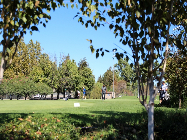 Outdoor Carpet Sunnyvale, California How To Build A Putting Green