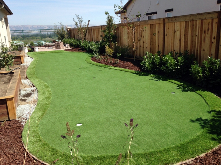 Plastic Grass Buena Vista, California Putting Green Carpet, Backyards